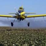 Классификация пестицидов: виды, способы применения, влияние на человека