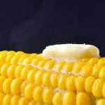 Кукуруза: технология возделывания, особенности посадки, выращивания и ухода