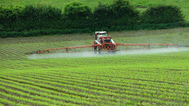 классификация пестицидов по токсичности