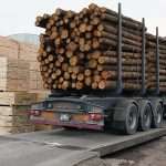 Технологии обработки древесины и производство изделий из дерева