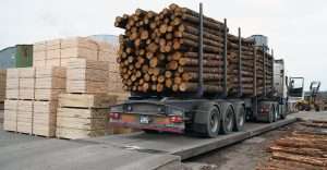 Технологии обработки древесины и производство изделий из дерева