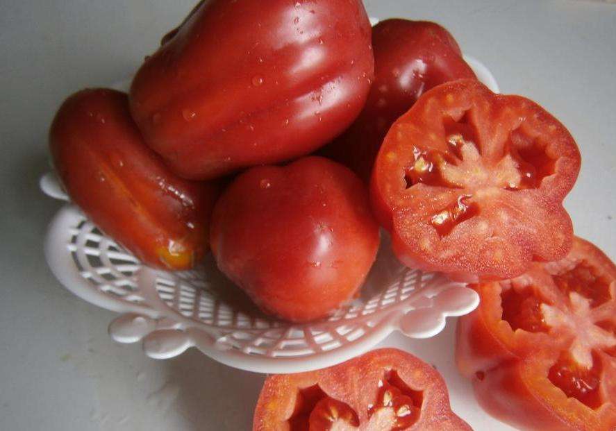 Описание томатов