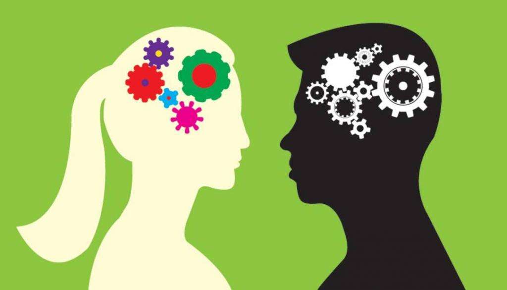 Различия мужского и женского мозга