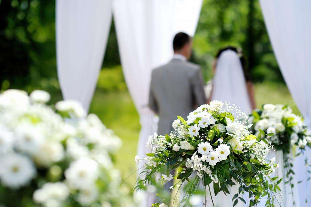 Жених и невеста (свадьба).